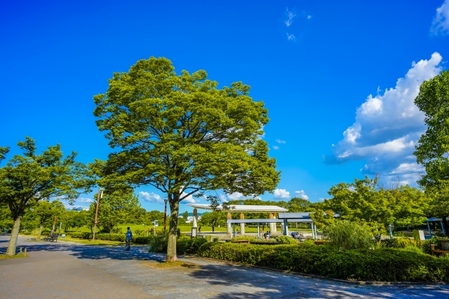 梅小路公園