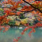 京都