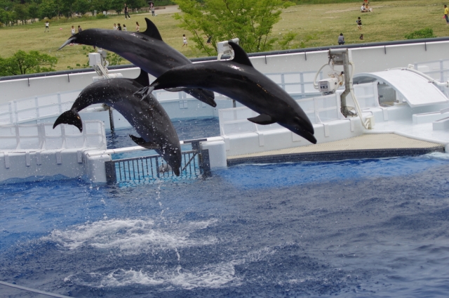 京都水族館