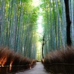 京都