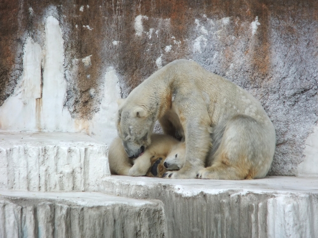 天王寺動物園