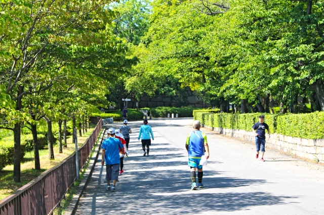 駐 大阪 車場 公園 城