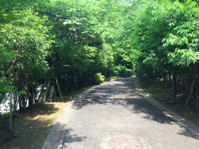 平和の森公園