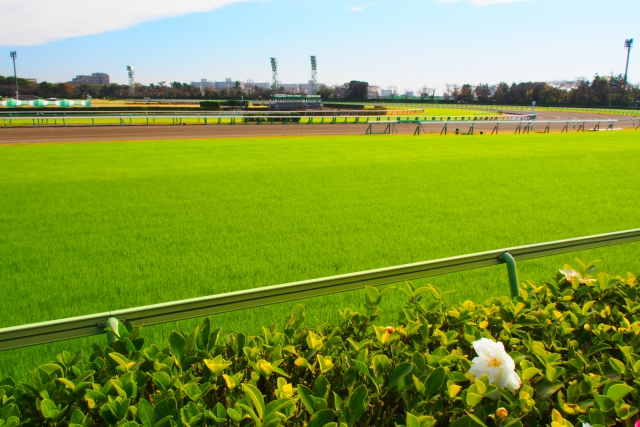 中山競馬場