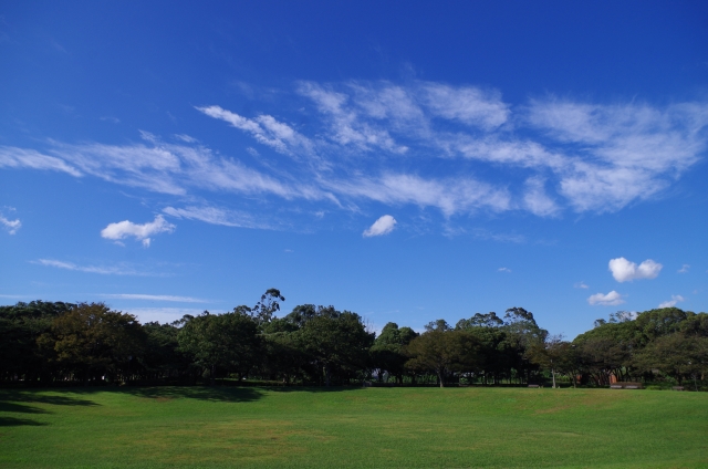 夢の島公園