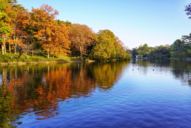 大宮公園