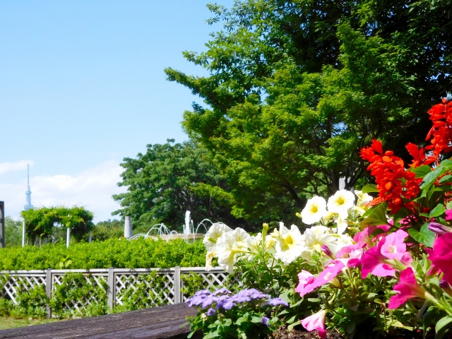 木場公園