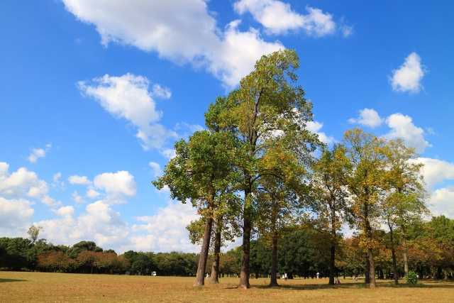 岸根公園