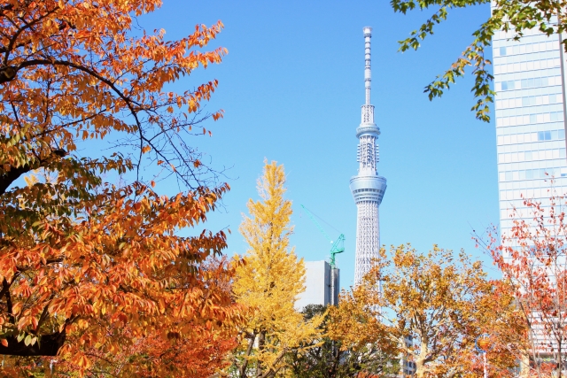 錦糸町