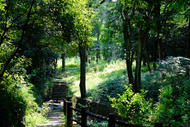 山田池公園