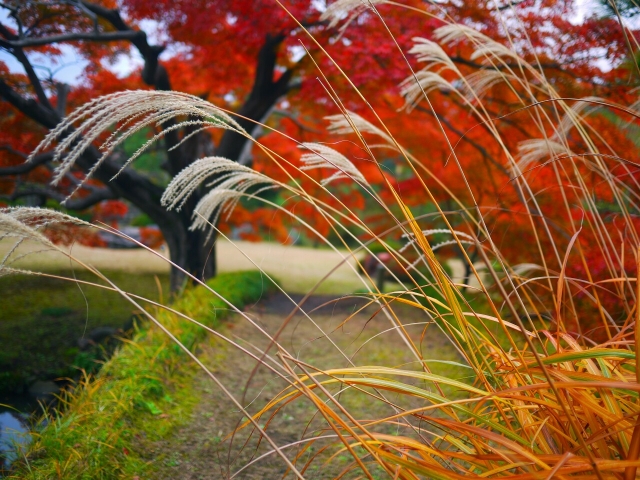 六義園