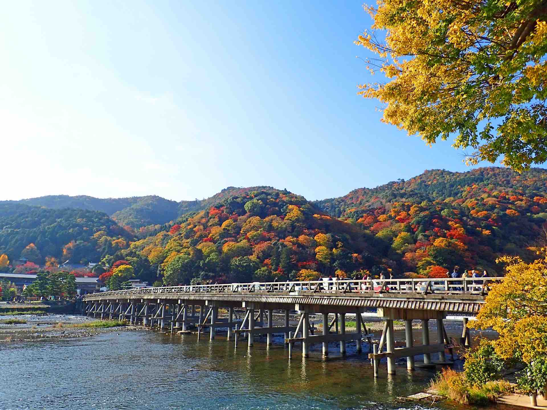 嵐山_紅葉_渡月橋