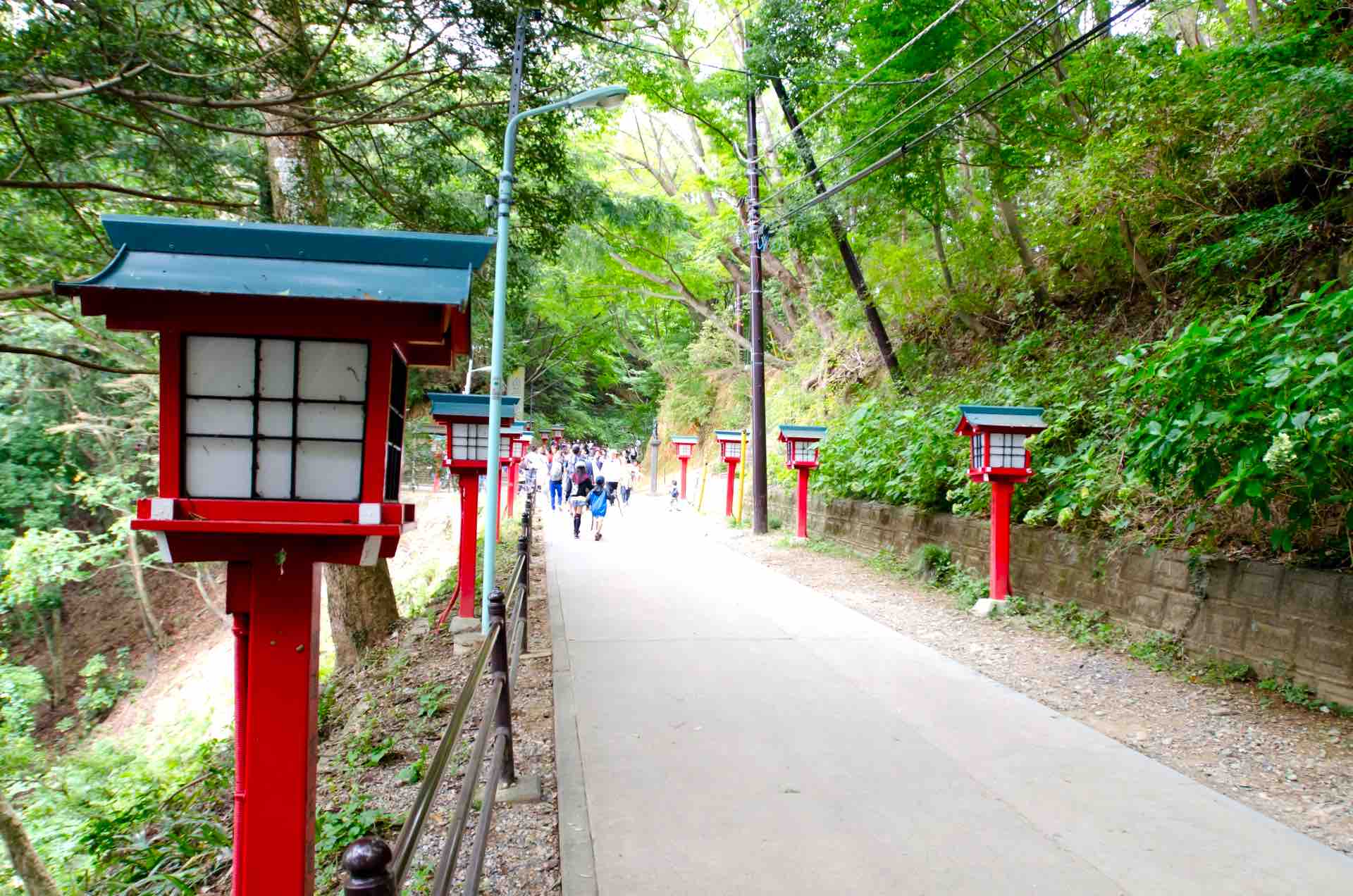 高尾山_紅葉_1号路