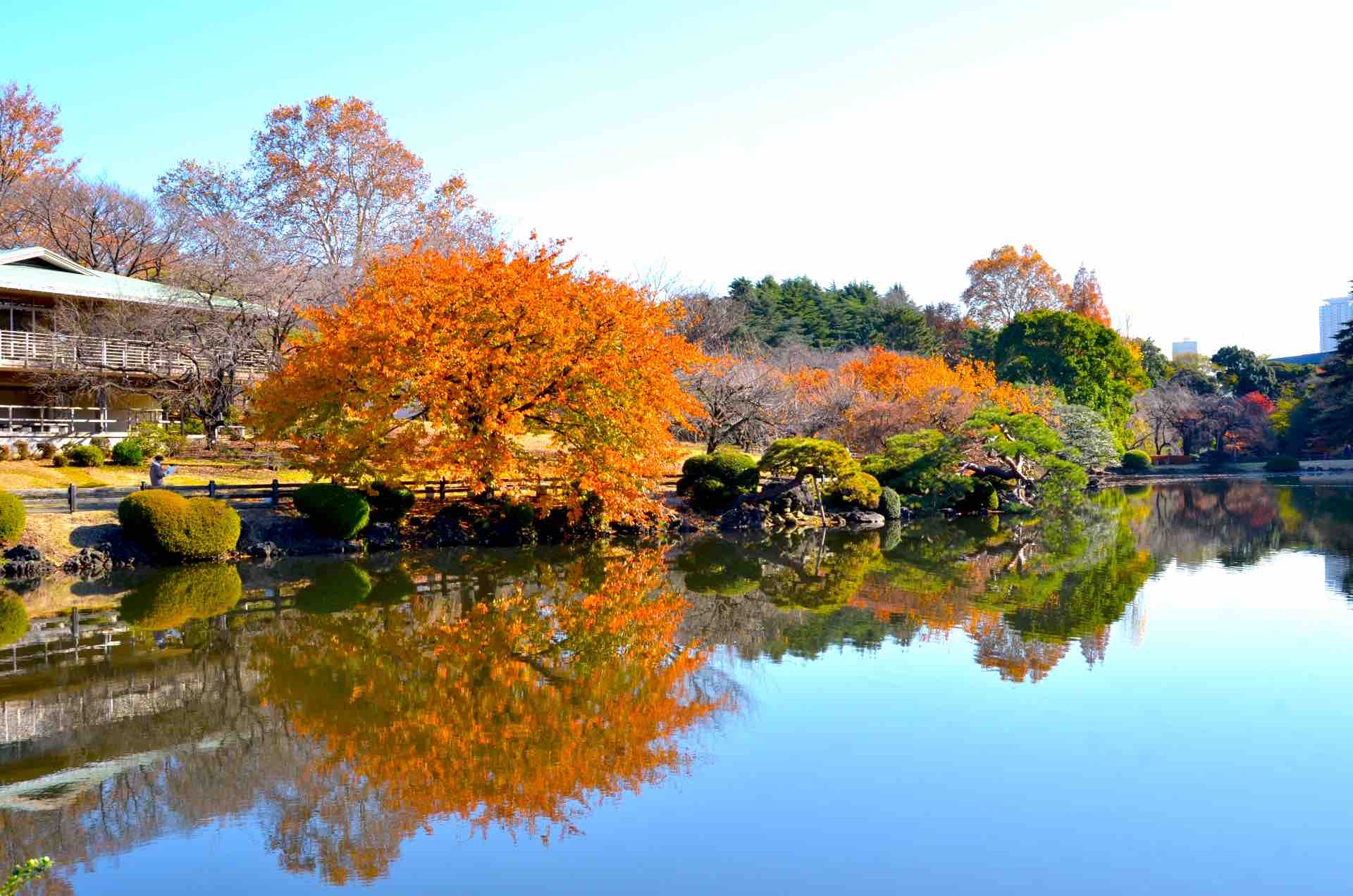 新宿御苑_紅葉