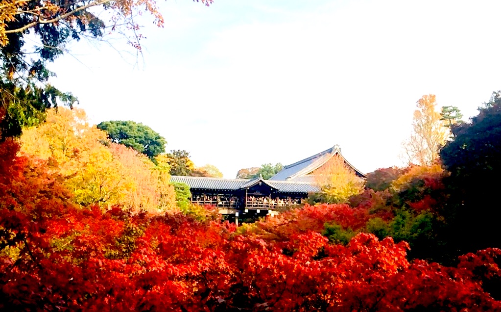 東福寺_紅葉