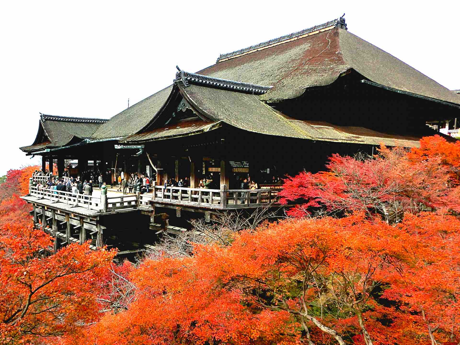 清水寺_紅葉