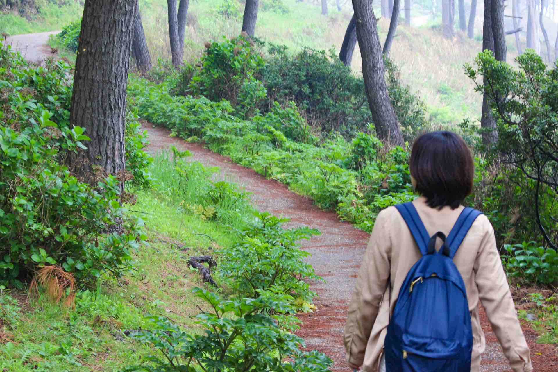 高尾山_紅葉_3号路