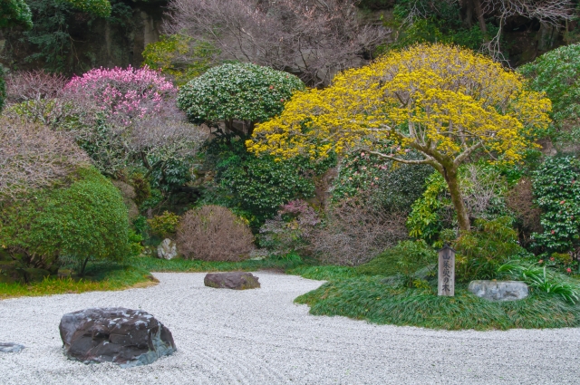 報国寺