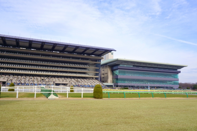 東京競馬場