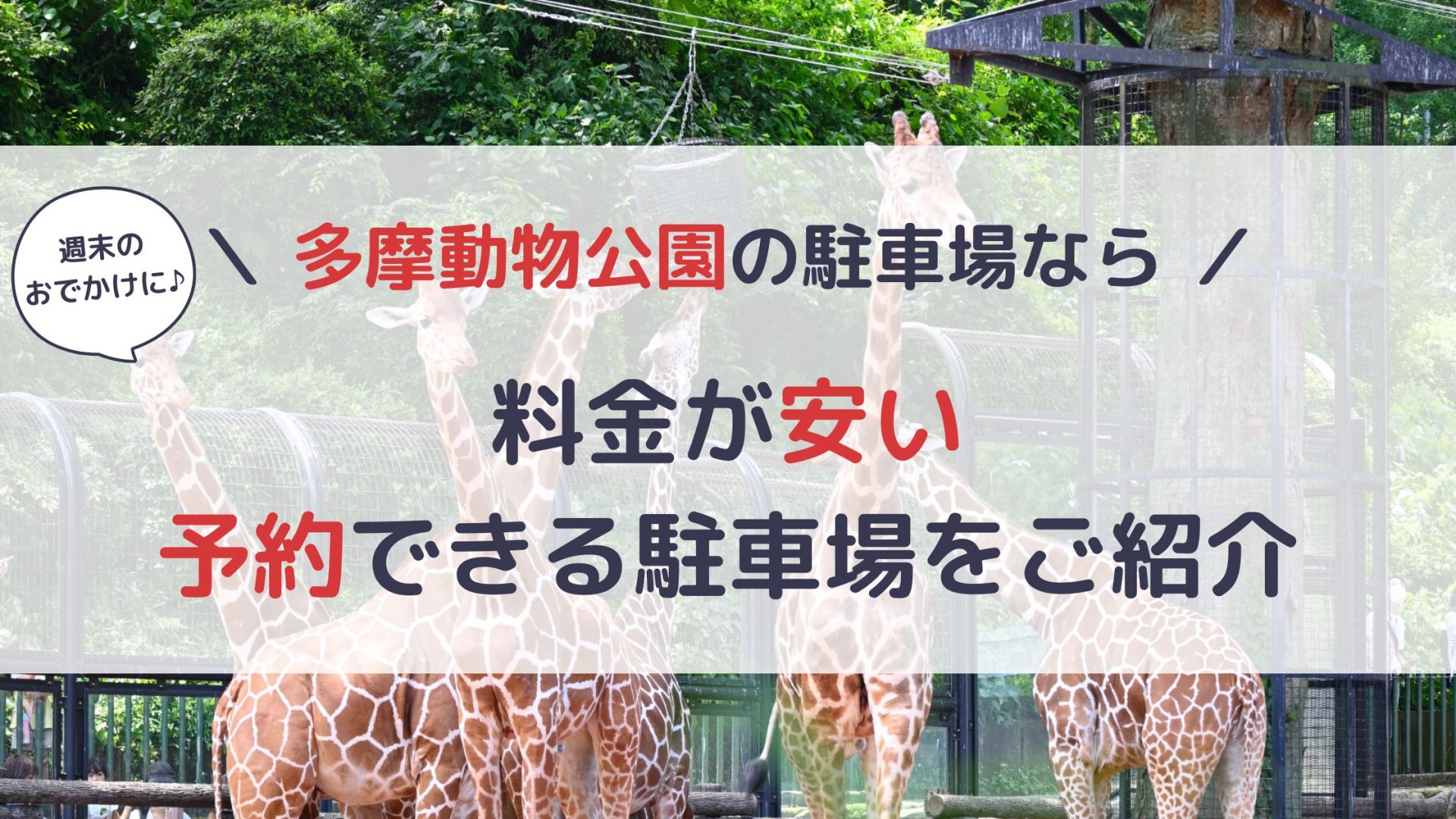 多摩動物公園 駐車場